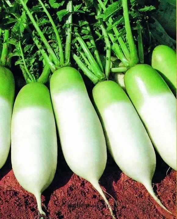 “平”语近人 | 打响品牌农业，湖南特色农业小镇抖擞新活力