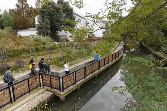城乡统筹的嘉兴样本:特色财富让村民走向致富路