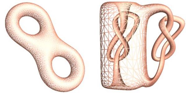  纯粹数学的雪崩效应：庞加莱意料何故造福了精准医疗？