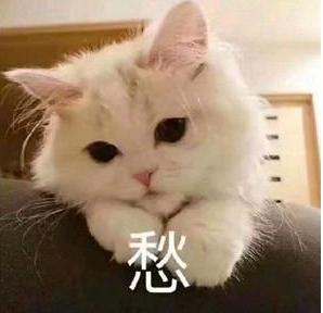 《诗意中国》热播 有一个弟控兄长是奈何的体验？