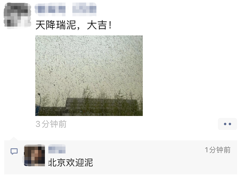 北京“泥雨”事后 伴侣圈不淡定了:“天降瑞泥,大吉!”