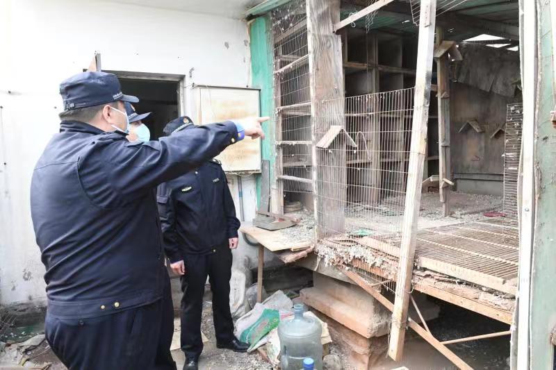 12345热线后楼顶鸽子窝拆除啦!住民鼓掌喝采