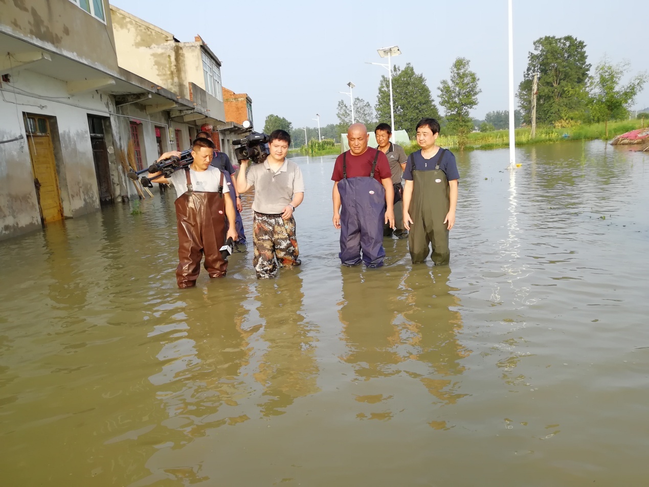 万亿合肥亮芳华模范