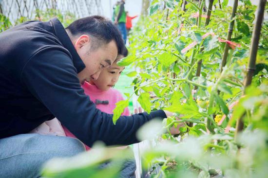 宁波澥浦摸索数字新农业 全民参加促村子振兴