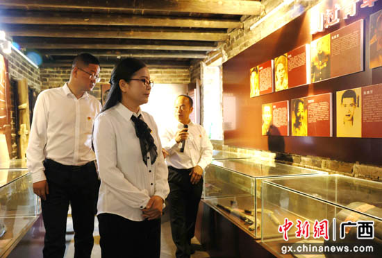 桂林平乐县学党史践初心 让党旗高高飘扬