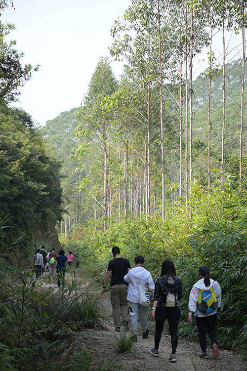 多图 | 山明水秀，叠彩锋岭——深度体验穿越广清徒步线路