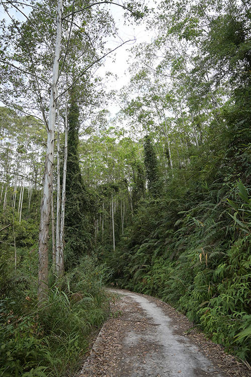 多图 | 山明水秀，叠彩锋岭——深度体验穿越广清徒步线路