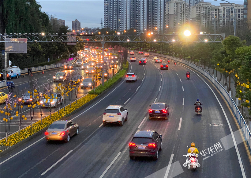 视频 | 重庆错峰通行首日交通平稳 这些通行法则再来“温习”下