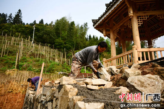 广西桂林龙胜县晋升村子风采 优化人居情况
