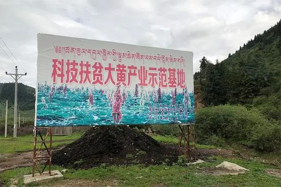 浙江秀洲2000多公里扶贫路:草原留下协作致充足迹