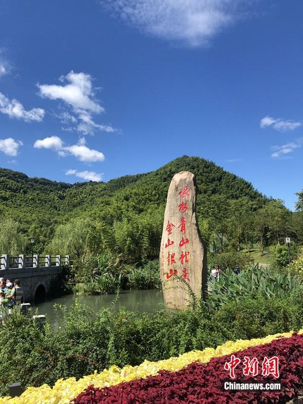 既守护绿水青山又缔造金山银山?浙江交出一份答卷