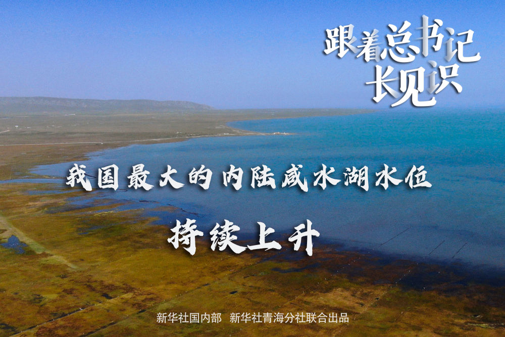 跟着总书记长见解丨我国最大的当地咸水湖水位陆续上升