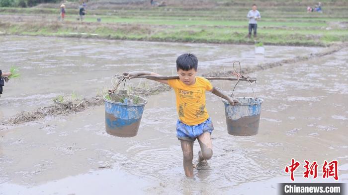 男童操作放学休息时间到田间帮家人干活。 黄海柱 摄 广西上思:深山瑶寨闹春耕 播下新但愿