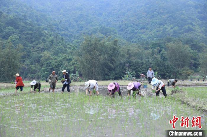 广西上思：深山瑶寨闹春耕 播下新但愿