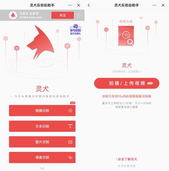 今天头条反低俗本领再进级 灵犬上线短视频识别成果