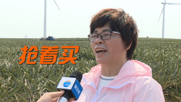 菠萝菠萝菠萝菠萝菠萝菠萝的海！