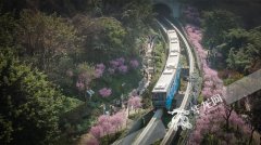 掩护引发市场主体活力 重庆出台《促收支产策划