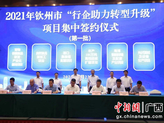 广西投促局供图 钦州“行企助力转型进级”动作成就厚实