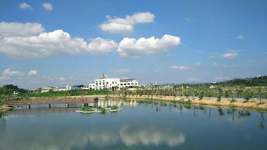 污水处理惩罚厂引野生鸟类栖息 浙江永康钱江水务获评标杆