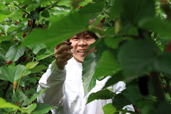 小马哥说了“全家出游都来这里玩”！_湖北在线