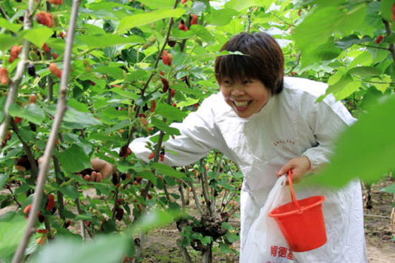 小马哥说了“全家出游都来这里玩”！_湖北在线