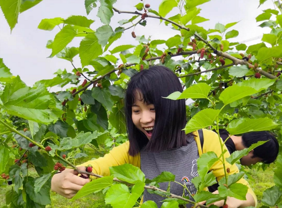 小马哥说了“全家出游都来这里玩”！_湖北在线