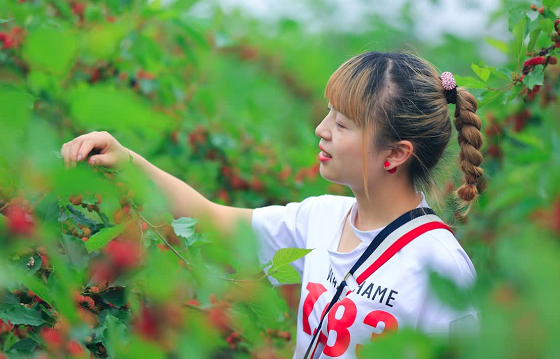 小马哥说了“全家出游都来这里玩”！_湖北在线