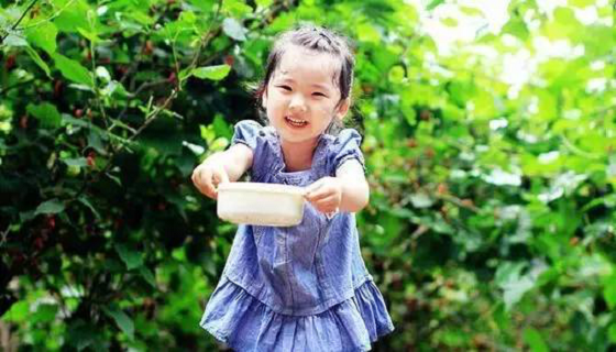 小马哥说了“全家出游都来这里玩”！_湖北在线