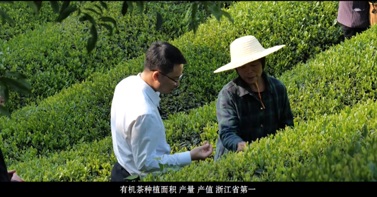 叮！一份来自武义县长的茶乡邀约，请查收