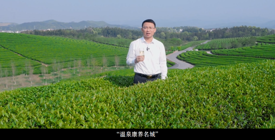 叮！一份来自武义县长的茶乡邀约，请查收