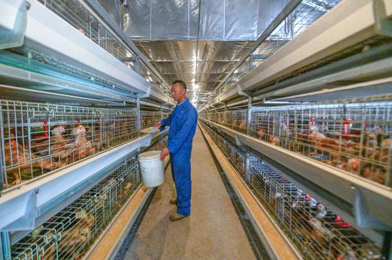 插上“数字”翅膀 浙江南浔科技赋能现代化农业