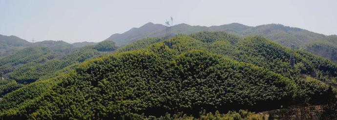 金寨县张冲乡首届“我爱我的老家”杯摄影大赛开始征稿