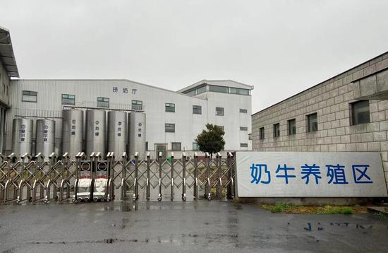 探访奶牛养殖区：24小时自由吃喝 控温室内“报酬”高