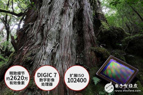 最值得买的全画幅单反佳能6D Mark II：这些进级不行错过