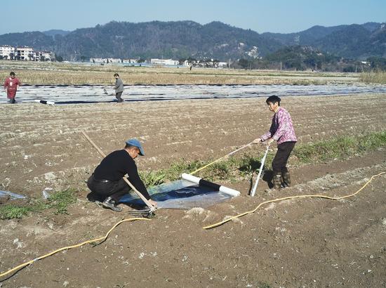 浙江临海春耕备耕农资富裕 早稻意向种植面积增加