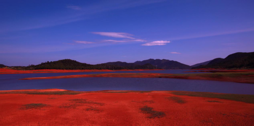 倒计时2天！衡南县将举办湖南省首场“美丽乡村”半程马拉松赛_湖北在线