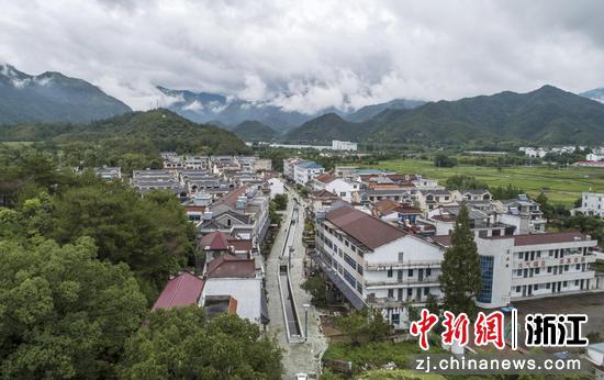 浙江仙居：成长绿色财富铺就村子振兴之路