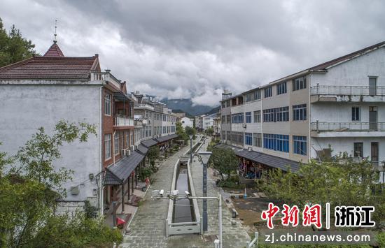 浙江仙居：成长绿色财富铺就村子振兴之路