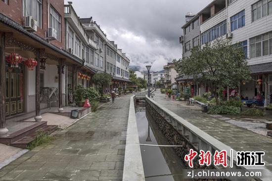 浙江仙居：成长绿色财富铺就村子振兴之路