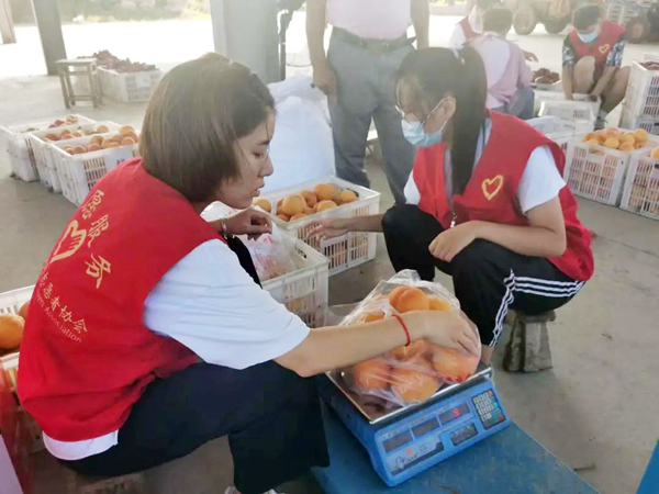 全椒：团团带货助果农渡难关4万斤黄桃3天秒购