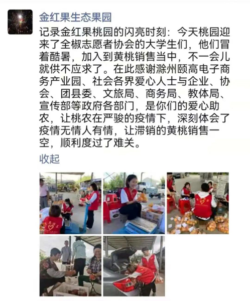 全椒：团团带货助果农渡难关4万斤黄桃3天秒购