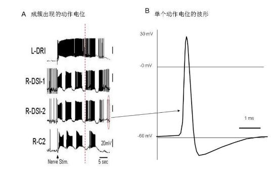  装备体系迎来大数据 人工智能将成为战争批示者
