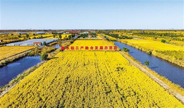 齐鲁特殊——践行习近平新时代中国特色社会主义经济思想调研记