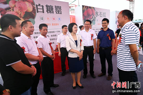 贵港港北区：打造荔枝财富 助力村子振兴