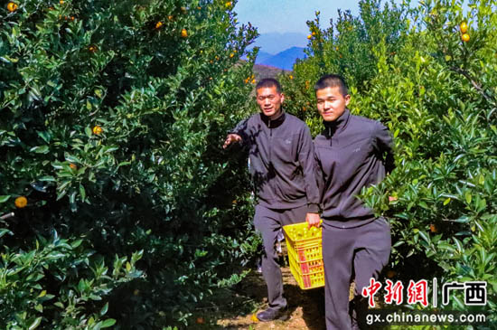 武警广西总队桂林支队承先辈之志赓续精力血脉