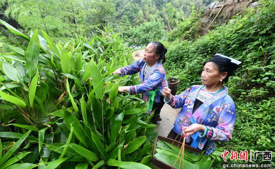 小粽子见证广西融水苗寨巨变