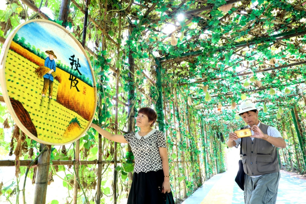 歙县：瑰丽村子添新景 志愿处事迎来客