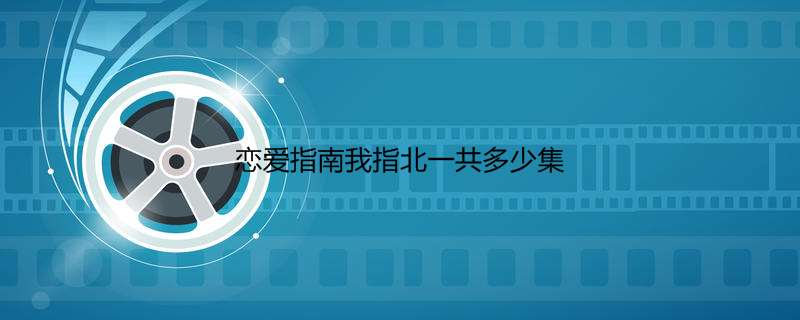 爱情指南我指北一共几多集