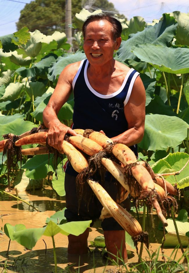 扶贫印记·组图| 衡南喇叭堰村：幸福，是格斗出来的