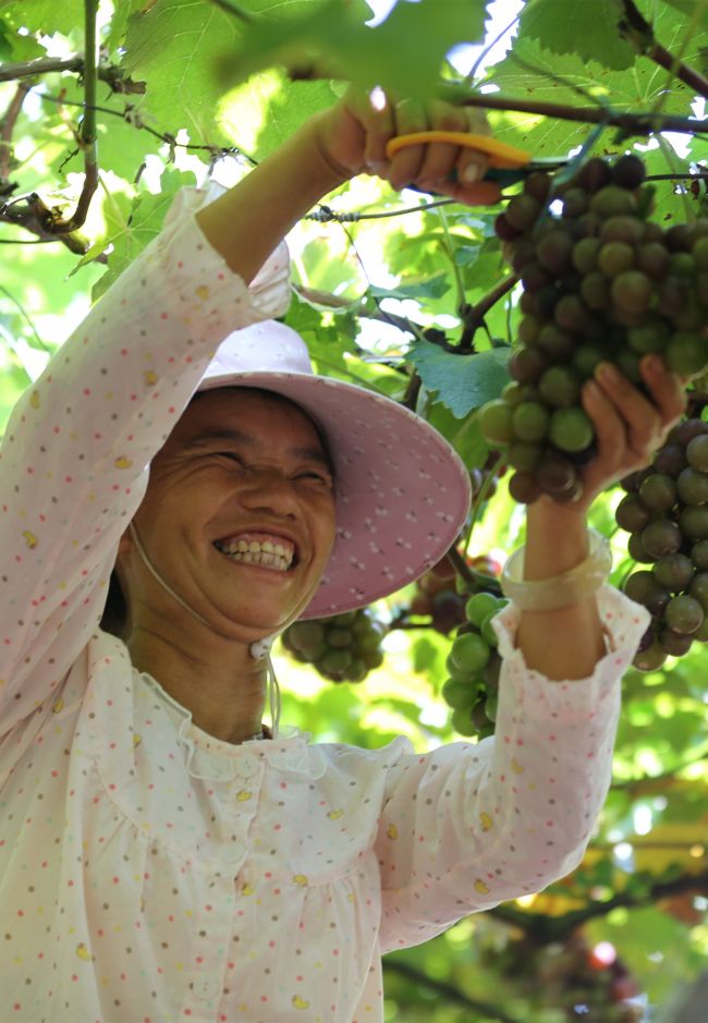 扶贫印记·组图| 衡南喇叭堰村：幸福，是格斗出来的